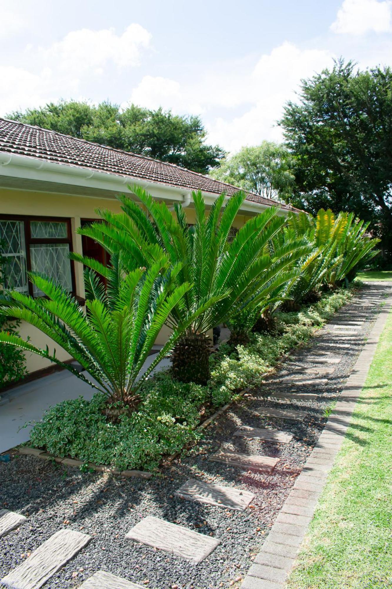 Chez Nous Bed And Breakfast & Self Catering Dundee Exterior foto